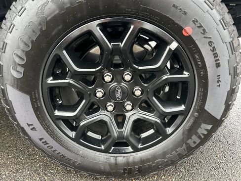 Used 2025 Ford F150 XLT w/ Equipment Group 302A MID image 12