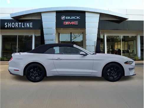 Used 2019 Ford Mustang Premium w/ Equipment Group 201A RWD image 2