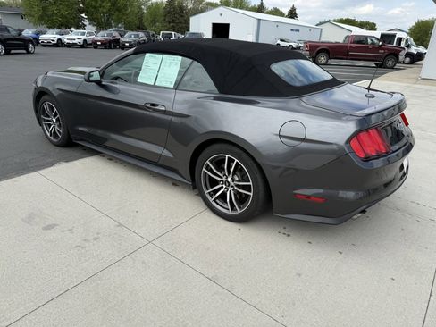 Used 2017 Ford Mustang Premium RWD image 13