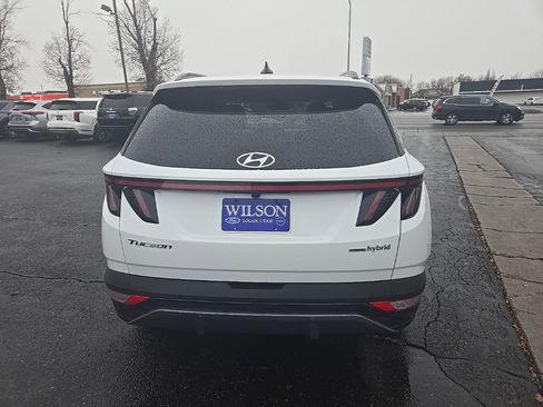 Used 2024 Hyundai Tucson Limited image 7