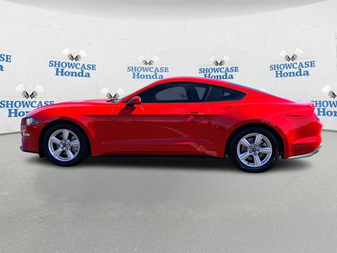Used 2019 Ford Mustang Coupe image 4