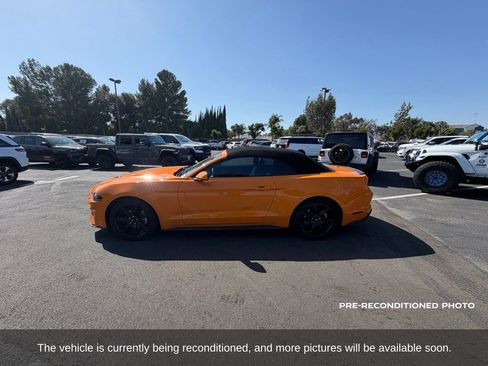 Used 2019 Ford Mustang Convertible w/ Equipment Group 101A RWD image 2
