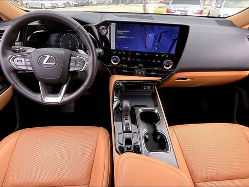 Used 2025 Lexus NX 250 FWD w/ Cold Area Package image 13
