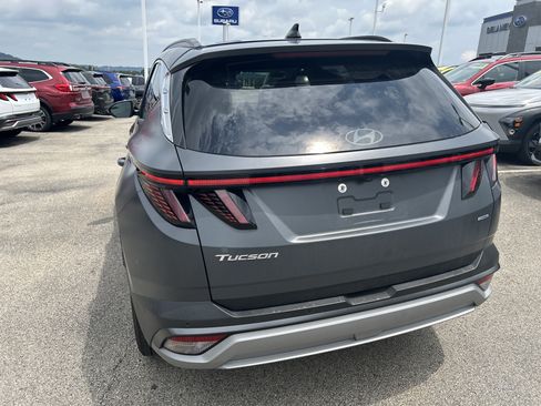 Used 2025 Hyundai Tucson Limited AWD/4WD image 4