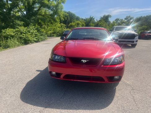Used 2001 Ford Mustang Cobra RWD image 5