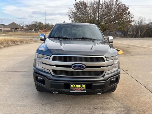 Used 2019 Ford F150 Platinum w/ Equipment Group 701A Luxury image 2