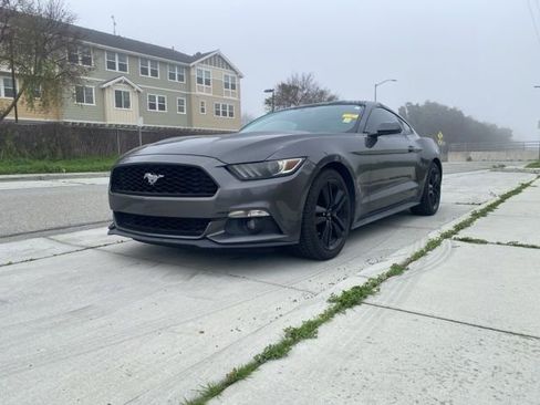 Used 2017 Ford Mustang Coupe w/ Ecoboost Performance Package image 3