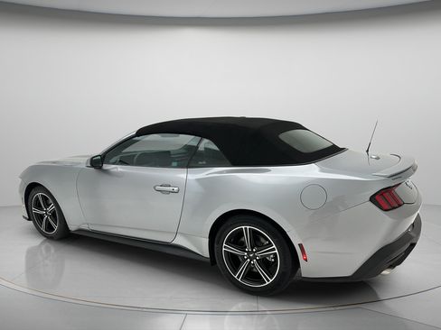 Used 2025 Ford Mustang Premium RWD image 6