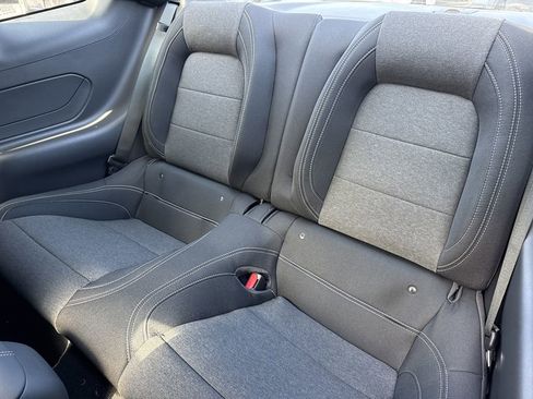 New 2026 Ford Mustang Coupe w/ Mustang Nite Pony Package image 19