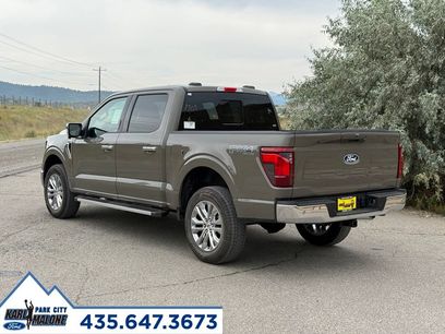 New 2026 Ford F150 XLT w/ Equipment Group 303A High