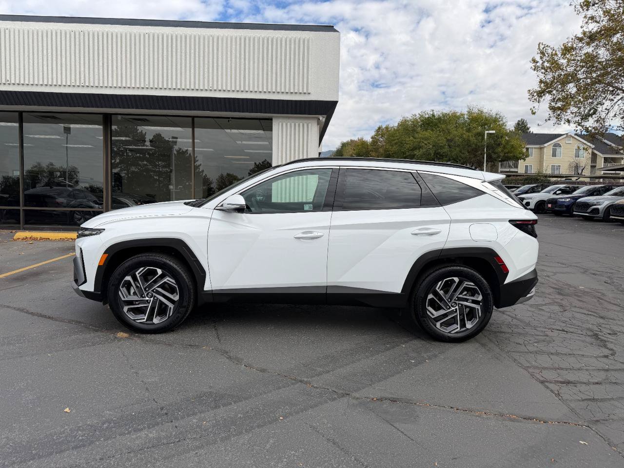 Used 2025 Hyundai Tucson Limited AWD/4WD image 15