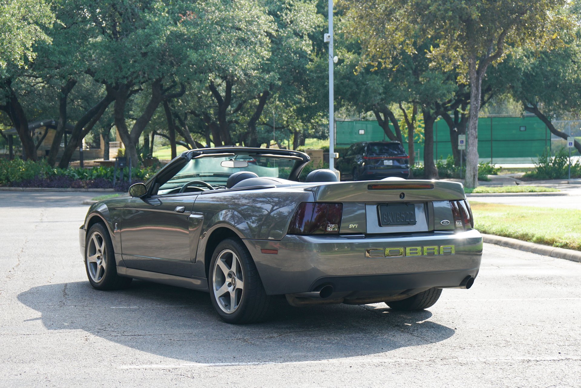 Used 2003 Ford Mustang Cobra RWD image 6