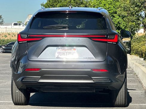 Certified 2025 Lexus NX 350h AWD w/ Cold Area Package image 9