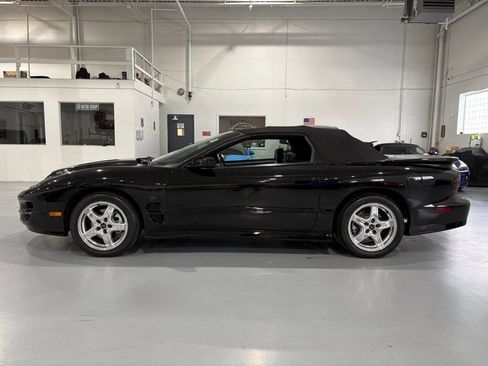 Used 2001 Pontiac Firebird Trans Am RWD image 4