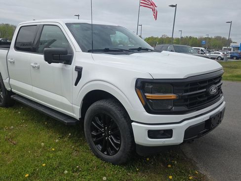 Used 2024 Ford F150 XLT w/ Equipment Group 302A MID AWD/4WD image 1