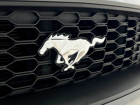 Used 2019 Ford Mustang Premium RWD image 38