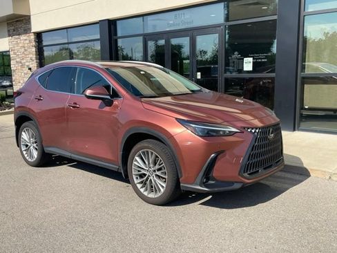 Used 2025 Lexus NX 350h AWD w/ Accessory Package (2T) image 6