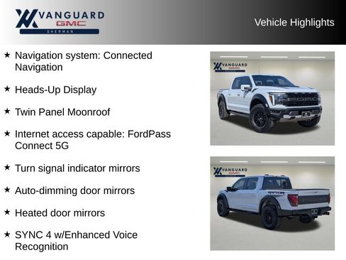 Used 2025 Ford F150 Raptor image 10