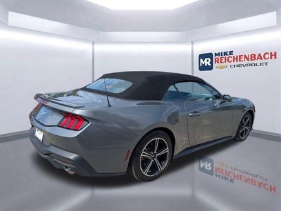 Used 2024 Ford Mustang Premium