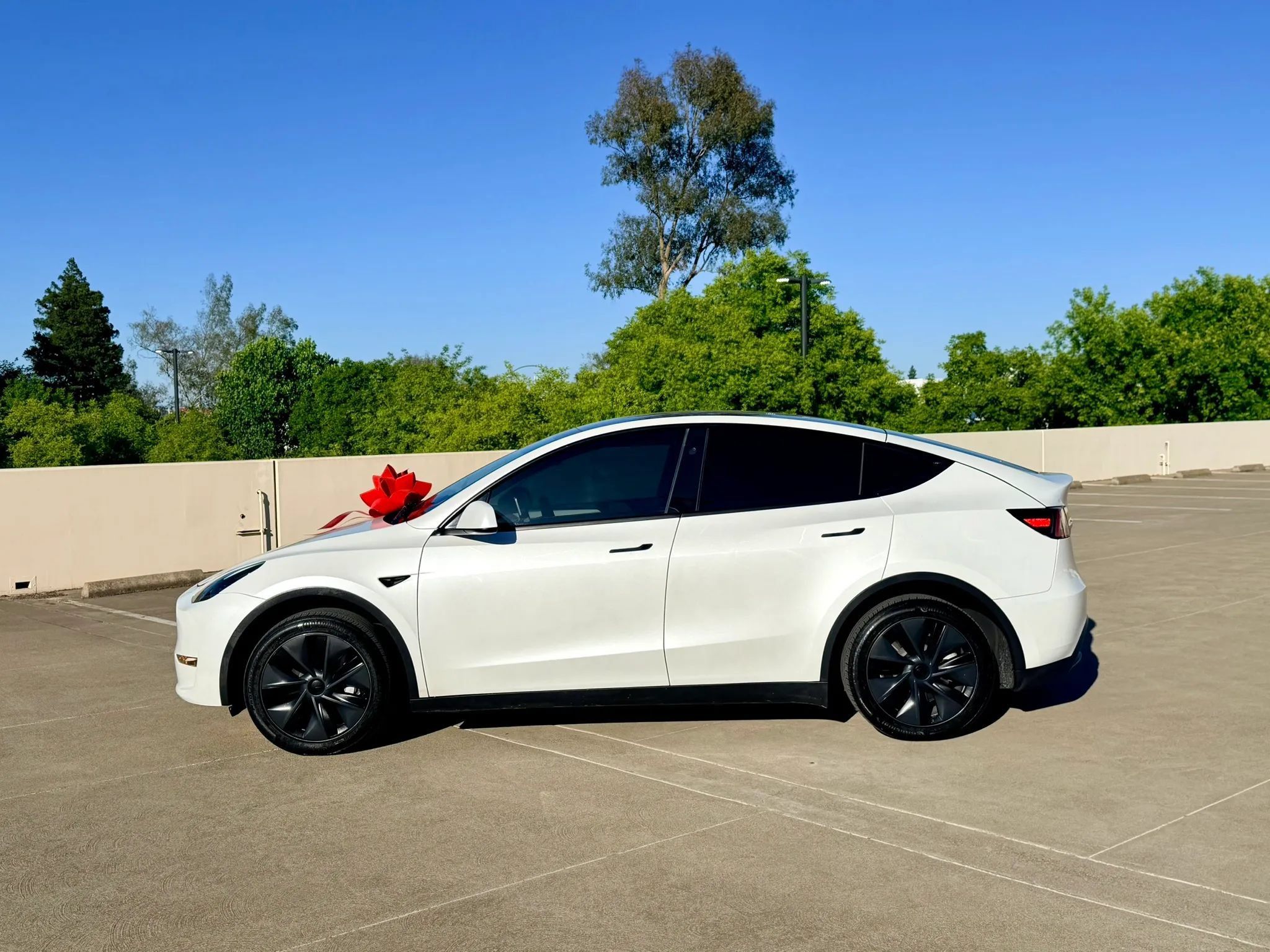 Used 2024 Tesla Model Y Long Range RWD image 4