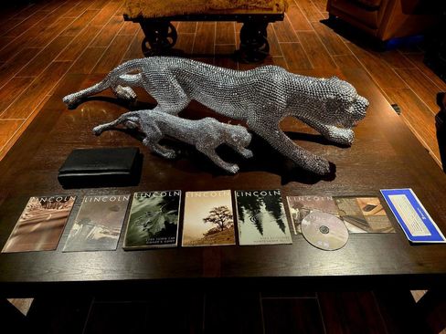 Used 2003 Lincoln Town Car Cartier image 24