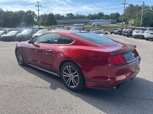 Used 2015 Ford Mustang Premium w/ Equipment Group 201A RWD image 4