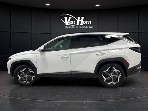 Used 2024 Hyundai Tucson Limited AWD/4WD image 4