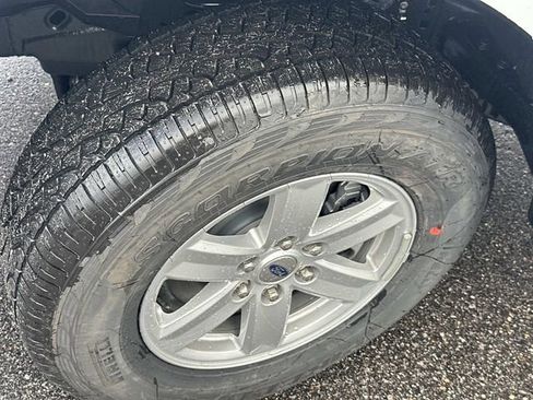 New 2025 Ford F150 XL w/ Equipment Group 103A High image 15