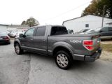 Used 2014 Ford F150 Platinum image 3