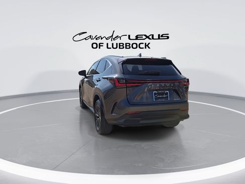 Used 2025 Lexus NX 250 FWD w/ Accessory Package (Z1) image 7