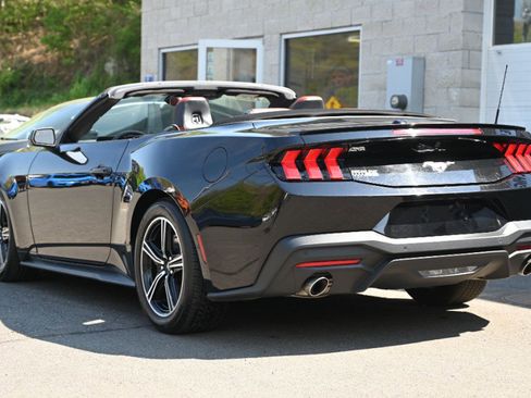 Used 2024 Ford Mustang Premium RWD image 4