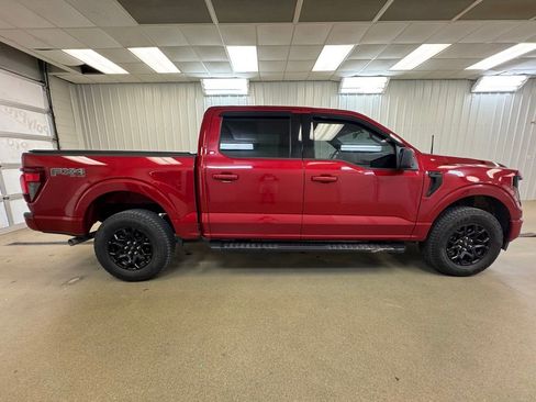 Used 2025 Ford F150 XLT w/ Equipment Group 301A Standard AWD/4WD image 5