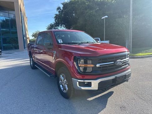 Used 2025 Ford F150 XLT w/ Equipment Group 301A Standard AWD/4WD image 10