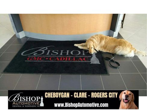 Used 2024 Jeep Wrangler Unlimited Rubicon image 15