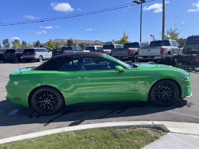 Used 2019 Ford Mustang GT Premium w/ GT Performance Package RWD image 3