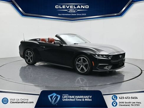 Used 2024 Ford Mustang Premium RWD image 1