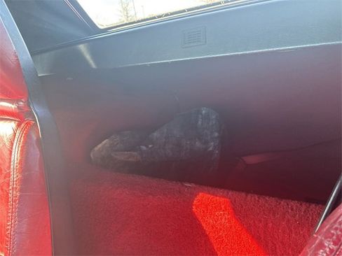 Used 1989 Chevrolet Corvette Convertible image 15