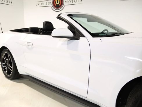 Used 2021 Ford Mustang Premium image 9