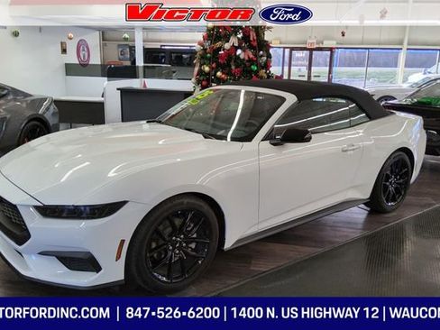 Used 2025 Ford Mustang Premium image 2