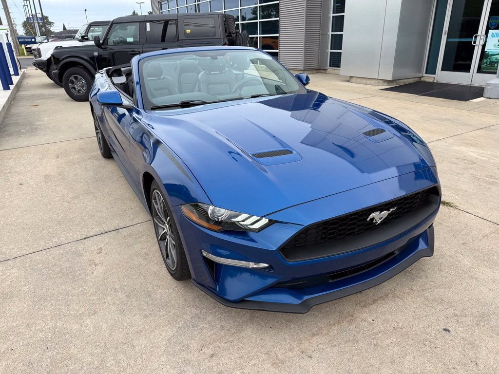 Used 2018 Ford Mustang Premium w/ Equipment Group 201A RWD image 3