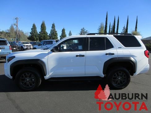 Certified 2025 Toyota 4Runner SR5 image 11