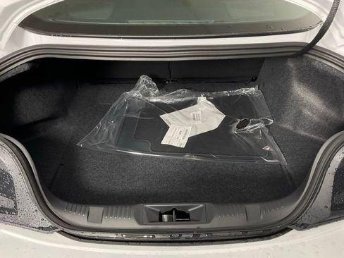 New 2026 Ford Mustang Coupe w/ Mustang Nite Pony Package image 11