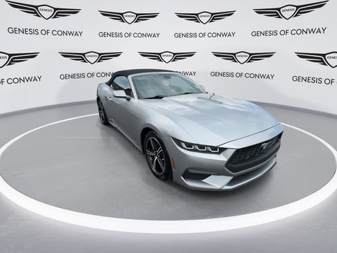 Used 2024 Ford Mustang Premium RWD image 2