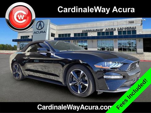 Used 2021 Ford Mustang Convertible w/ Equipment Group 101A RWD image 1