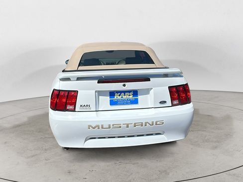 Used 2003 Ford Mustang Convertible RWD image 5