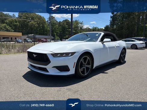 Used 2024 Ford Mustang Premium RWD image 1
