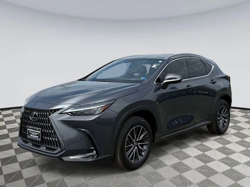 Used 2025 Lexus NX 350h AWD w/ Premium Package image 5