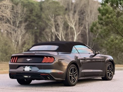 Used 2019 Ford Mustang Premium image 7