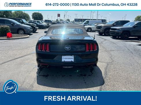 Used 2015 Ford Mustang GT Premium w/ Equipment Group 401A RWD image 5