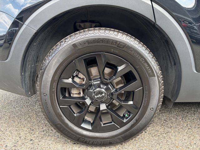 Used 2023 Kia Telluride SX Prestige X-Pro AWD/4WD image 28